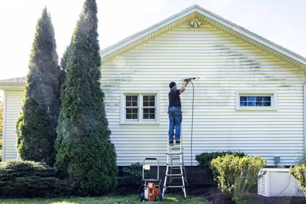 Best Sidewalk and Walkway Cleaning  in Oakwood Hls, IL